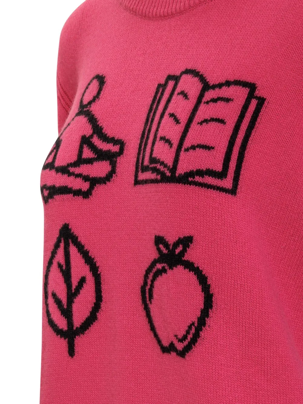 ALBERTA FERRETTI Pullover in Lana con Ricamo 