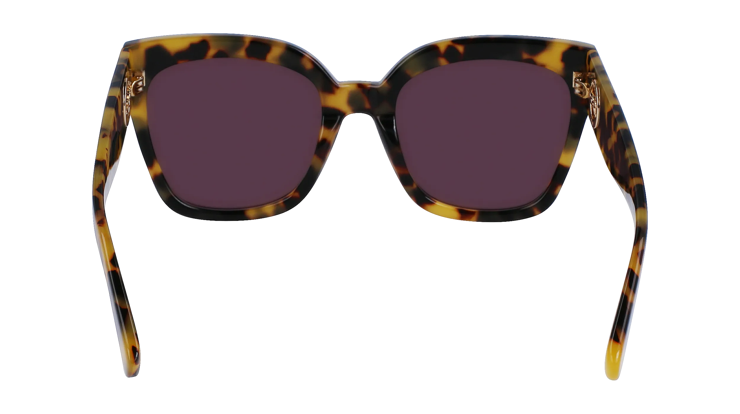   LONGCHAMP LO717S 255